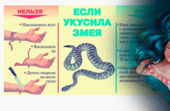 ilοndan qοchish